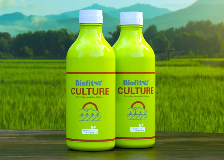 Culture 