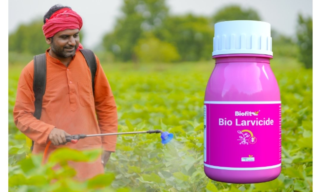 Bio Larvicide 