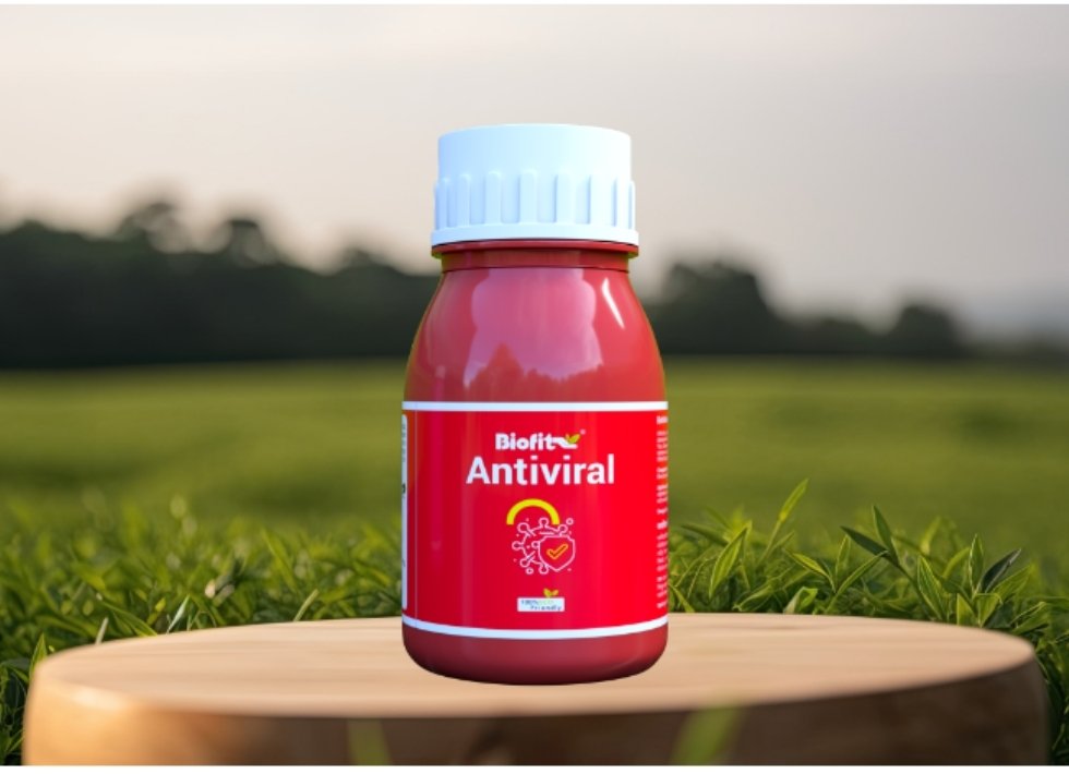 Antiviral 