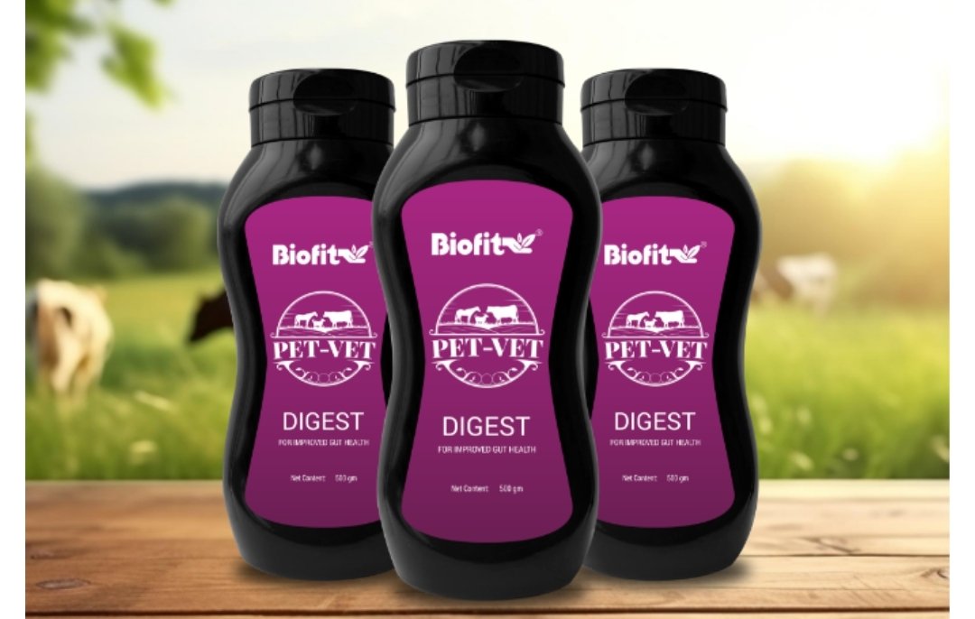 Pet Vet Digest 