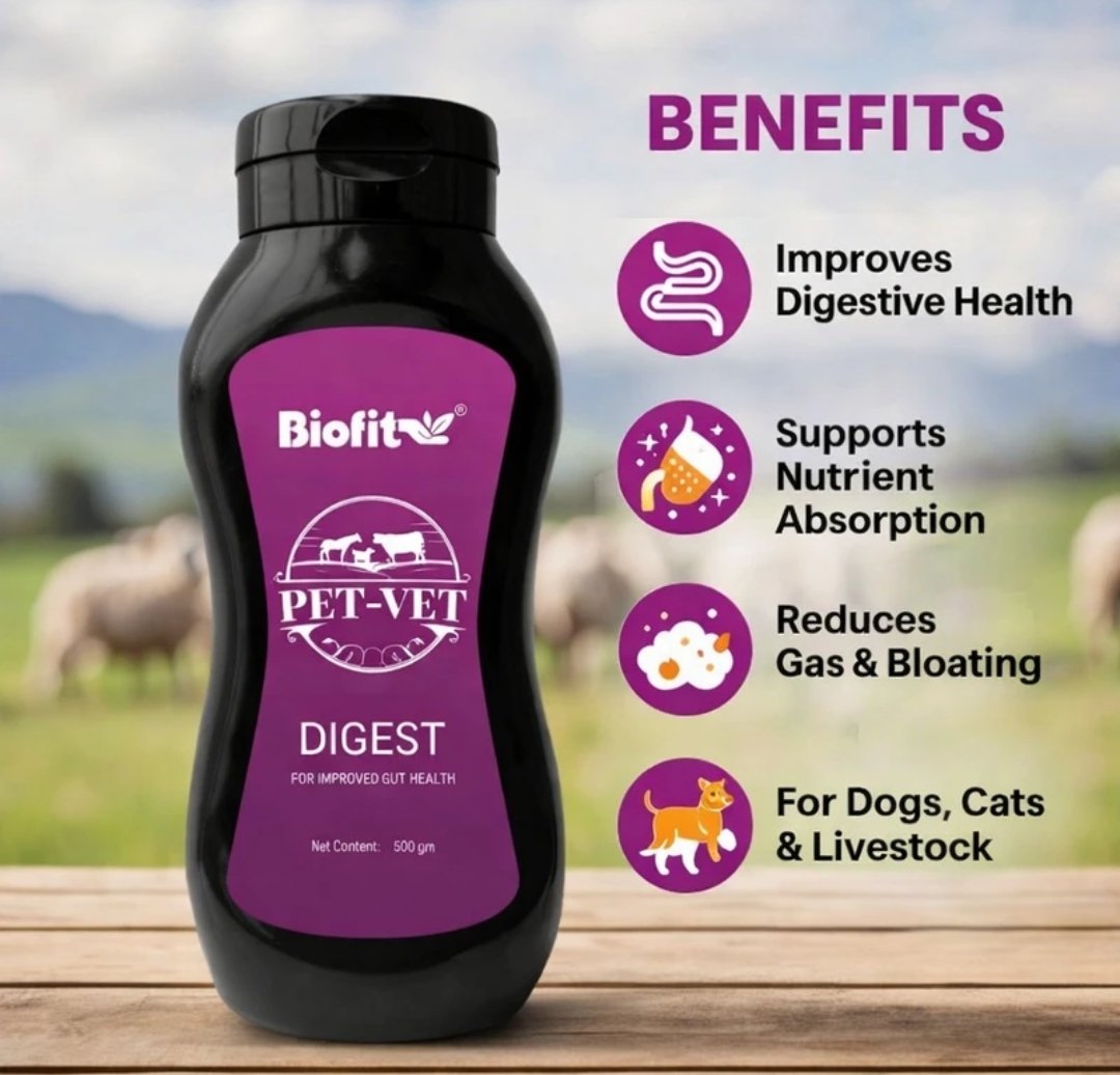 Pet Vet Digest 