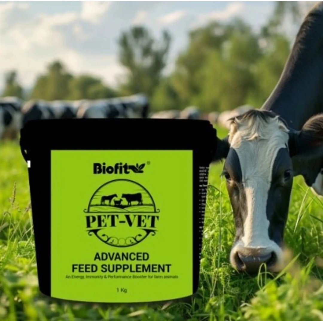 Pet Vet Advanced  Feed Supplement 1Kg