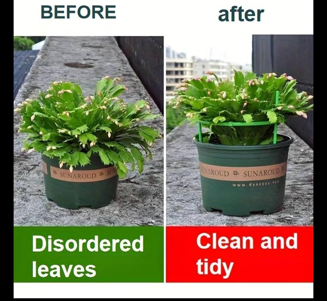 Plant Supporter Device - View 3