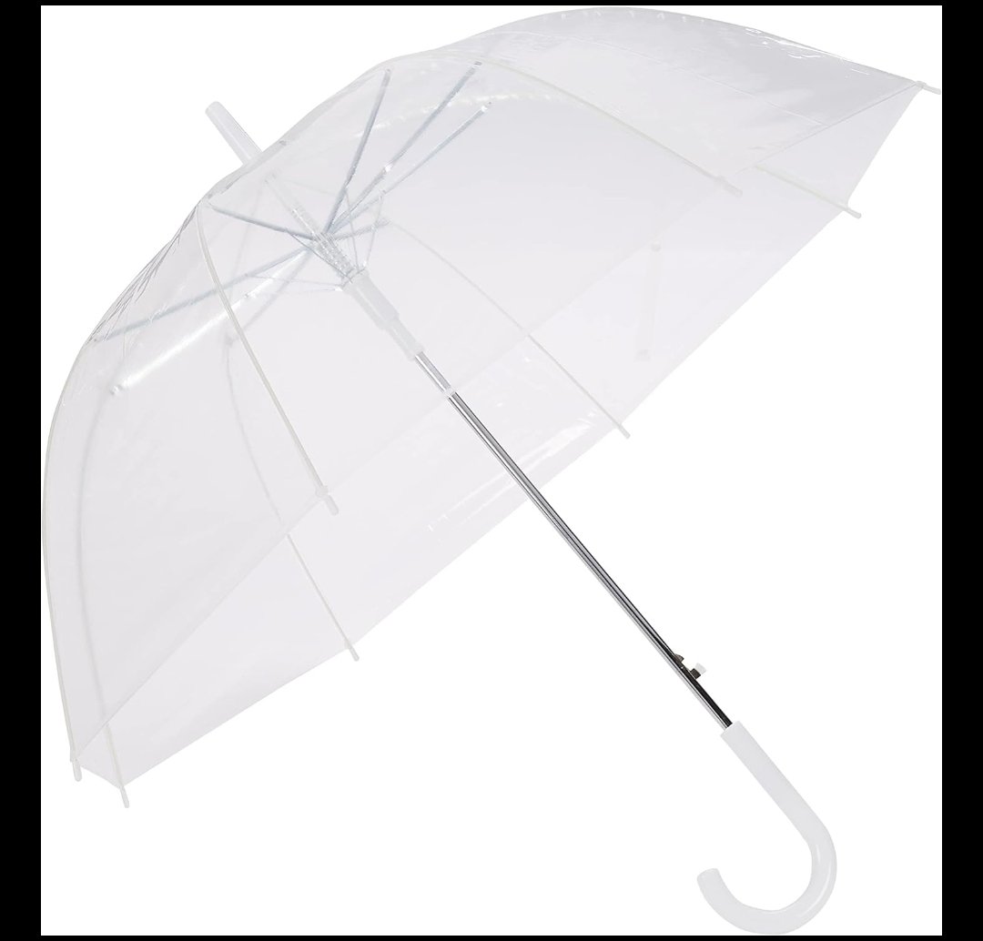 Transparent Umbrella